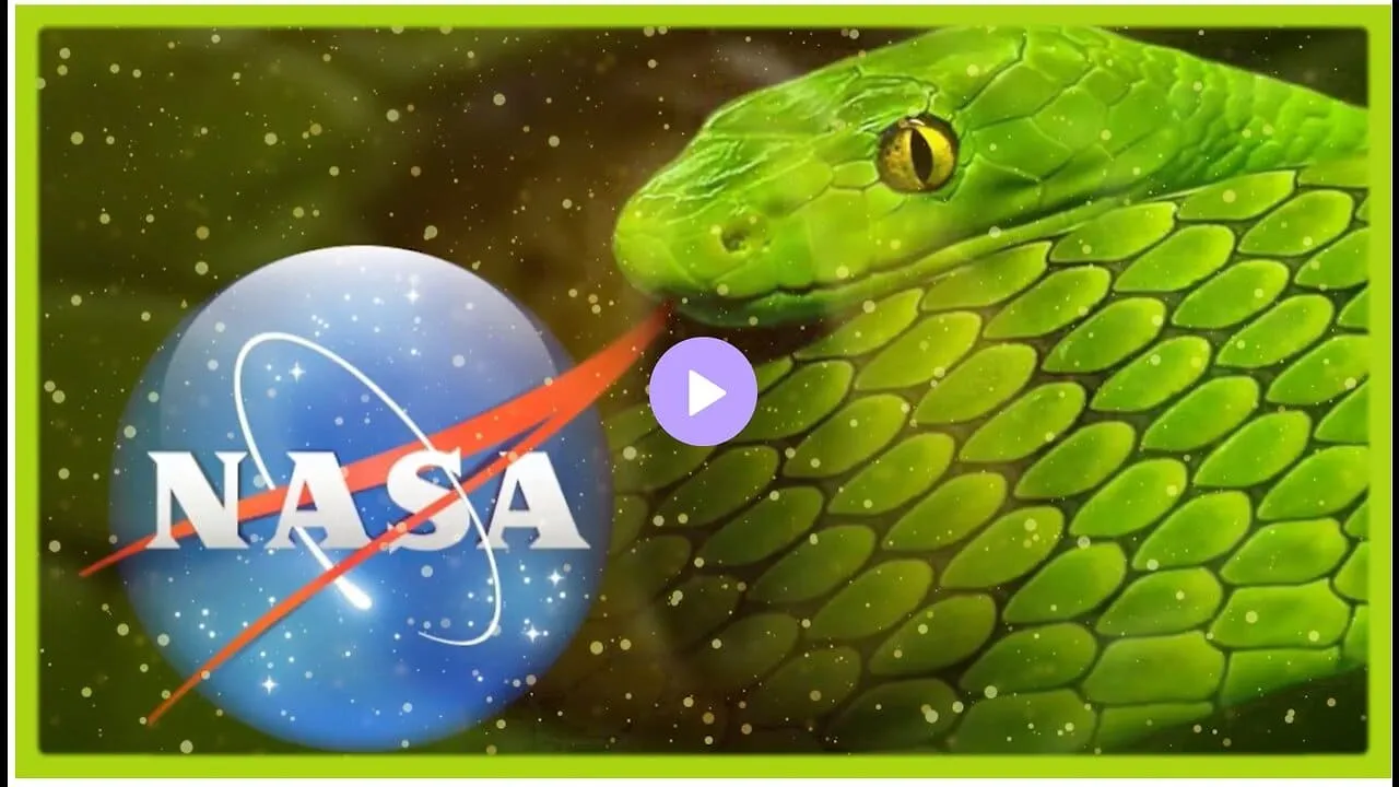 Why On Earth Would Anyone Trust NASA — flat earth documentary thumbnail